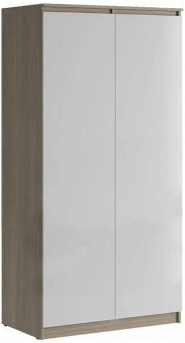 Челси Шкаф 2-х створчатый платяной (Белый глянец, Белый)