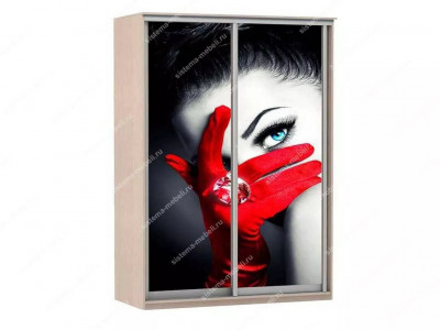 Шкаф купе Модерн 1490х600 2-х дверный 2-х секционный фотопечать №1 ясень