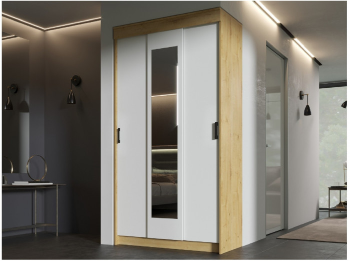 Эко Шкаф-купе (Ясень шимо темный / светлый)