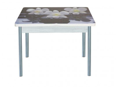 Симпл фотопечать стол обеденный раскладной / орхидея на черных камнях/бетон белый/металлик